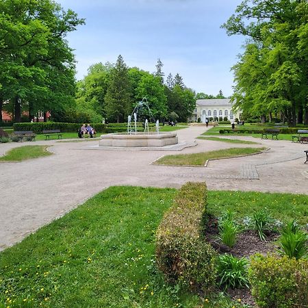 Villa Klara Cieplice Jelenia Góra Eksteriør billede